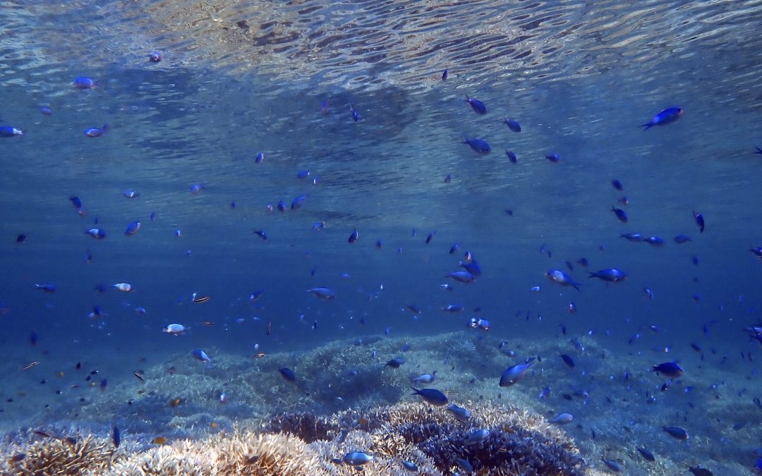 走り抜けてく8月