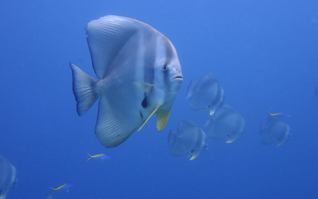 時化からの太陽