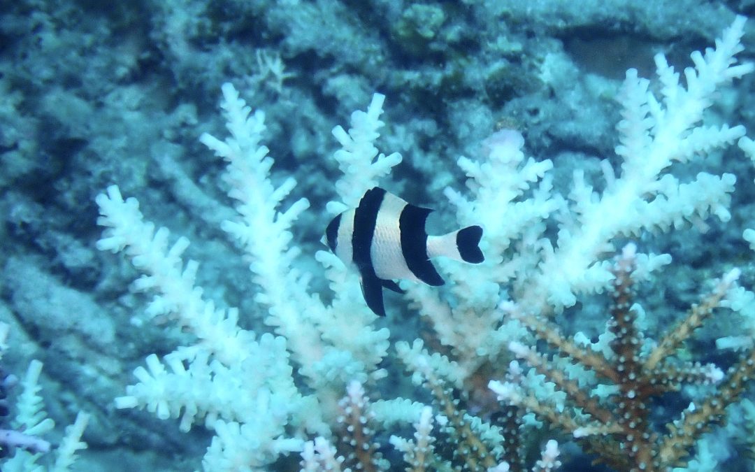 天気関係なし?!マクロWEEK