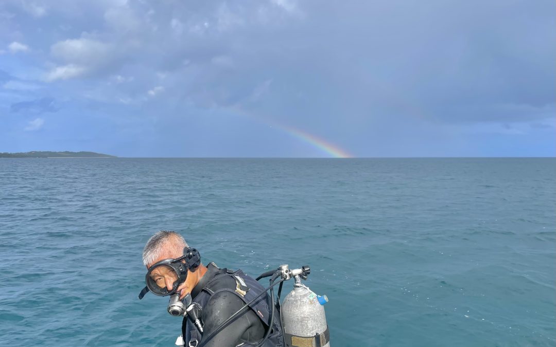 さかなさんと虹