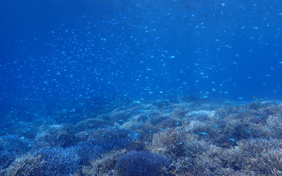 快適すぎる11月