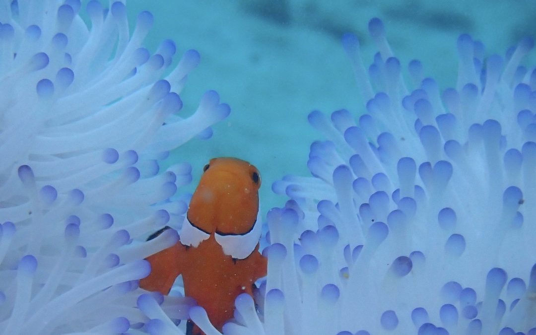 今年もあと少し