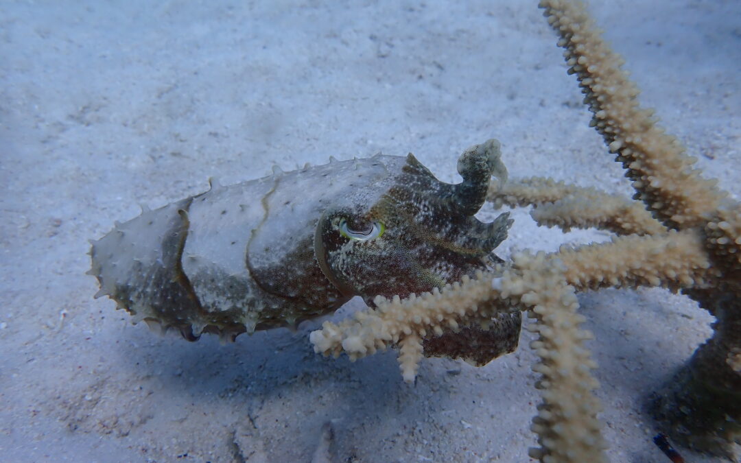 久しぶりの出会い