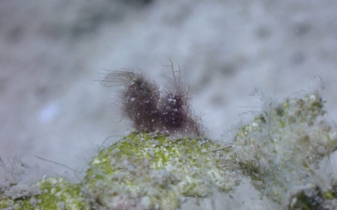 楽しい時間はあっという間