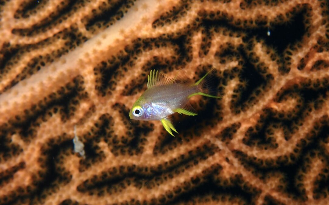 うれしいこといっぱい