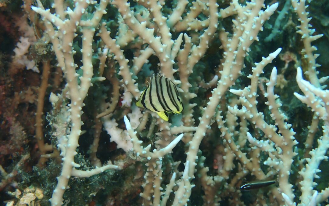 あっちこっち行った8月でした