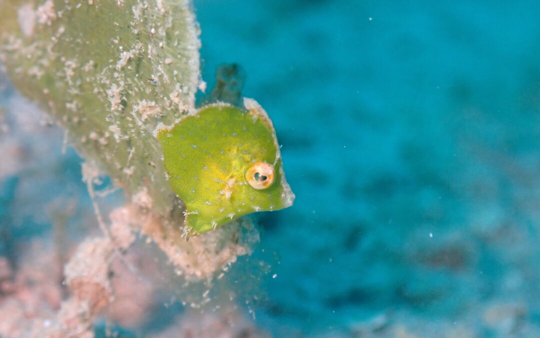 いい天気続く10月のはじまり