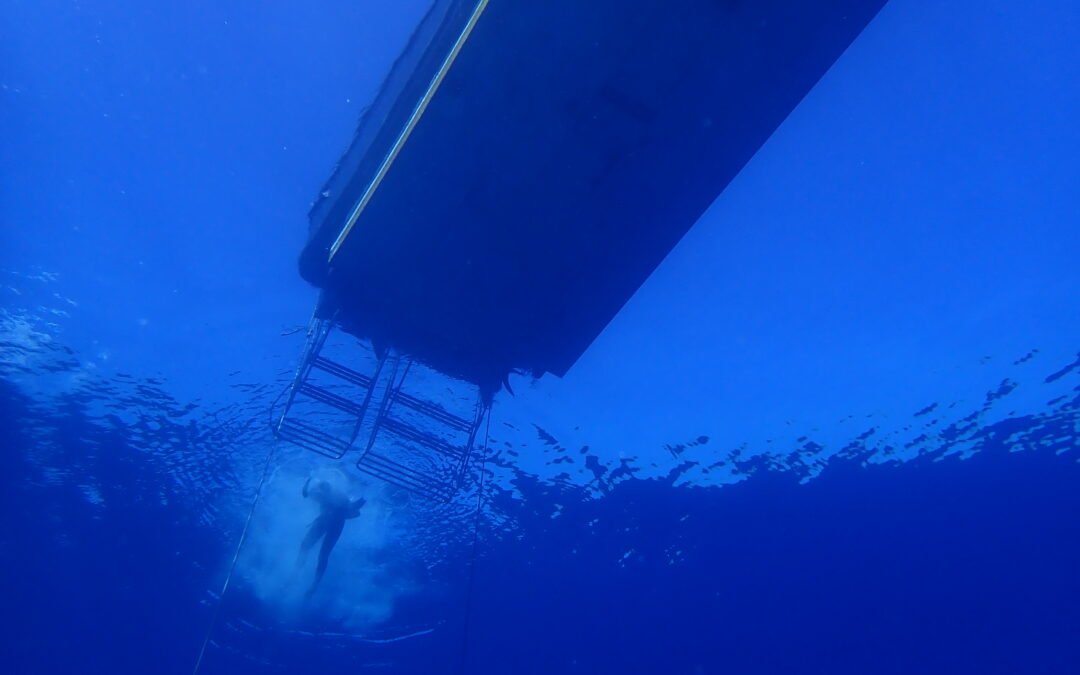 ミスターサカナ45周年！