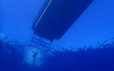 ミスターサカナ45周年！