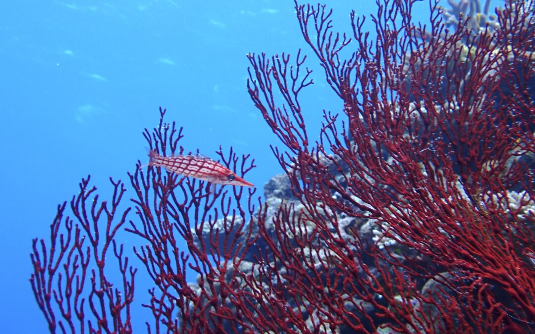 2025年もお世話になりました！