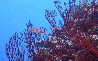 2025年もお世話になりました！